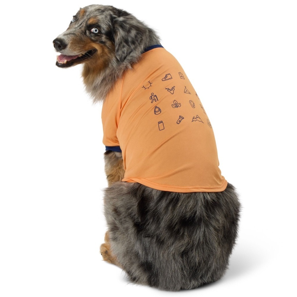 Arcadia Trail Icons High Visibility Orange Dog Shirt XL